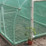 Panduan Praktis Membangun Greenhouse Sederhana Menggunakan Pipa PVC dari Awal sampai Jadi
