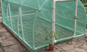 Panduan Praktis Membangun Greenhouse Sederhana Menggunakan Pipa PVC dari Awal sampai Jadi