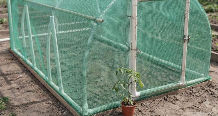 Panduan Praktis Membangun Greenhouse Sederhana Menggunakan Pipa PVC dari Awal sampai Jadi