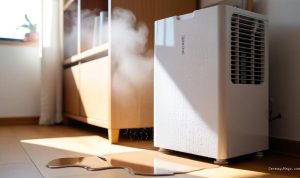 pengertian-dehumidifier-fungsi-cara-kerja-dan-manfaatnya-untuk-rumah-19600 Pengertian Dehumidifier: Fungsi, Cara Kerja, dan Manfaatnya untuk Rumah