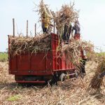 Penguatan Pasokan Bahan Baku Penting untuk Pengembangan Bioetanol Tetes Tebu