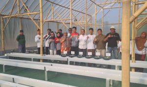 Pertamina EP: Smart Green House Melon Premium Dongkrak Ekonomi Petani Indramayu