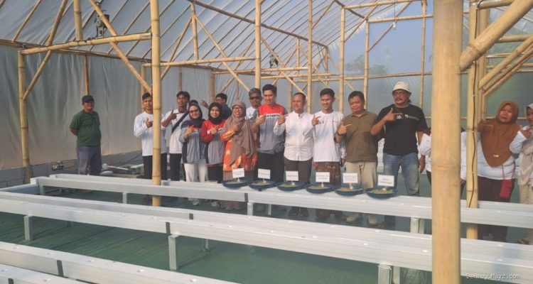 Pertamina EP: Smart Green House Melon Premium Dongkrak Ekonomi Petani Indramayu