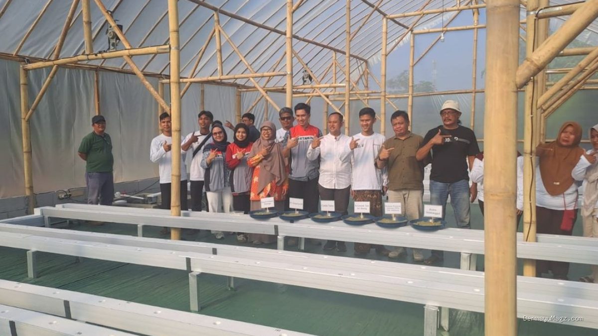 Pertamina EP: Smart Green House Melon Premium Dongkrak Ekonomi Petani Indramayu