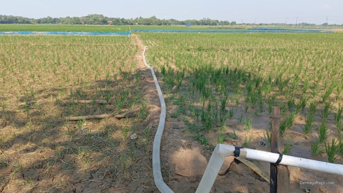 Petani Pertanyakan Bantuan Irpom Kandanghaur, Minta Pemerataan
