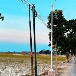 PJU Baru Terpasang, Kawasan Toang Pecuk Kini Lebih Terang & Aman