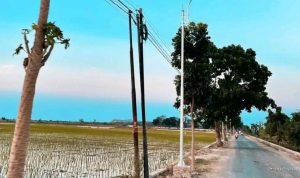 PJU Baru Terpasang, Kawasan Toang Pecuk Kini Lebih Terang & Aman