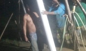 Pompanisasi Kementan: Jatimunggul Terisi Tingkatkan Intensitas Tanam