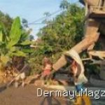 Proyek Jalan Desa Brondong Indramayu Disorot, Diduga Langgar K3 dan Spesifikasi Teknis 29 Juli 2026