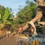 Proyek Jalan Desa Brondong Indramayu Disorot, Diduga Langgar K3 dan Spesifikasi Teknis 29 Juli 2026