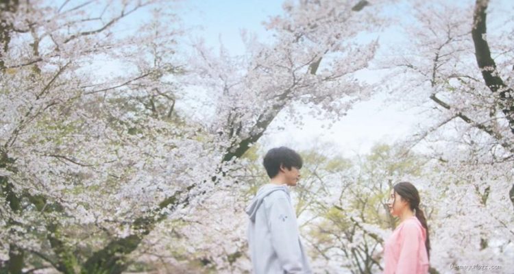 Rekomendasi Drama Korea Cinta Lama Bersemi Kembali yang Bikin Susah Move On