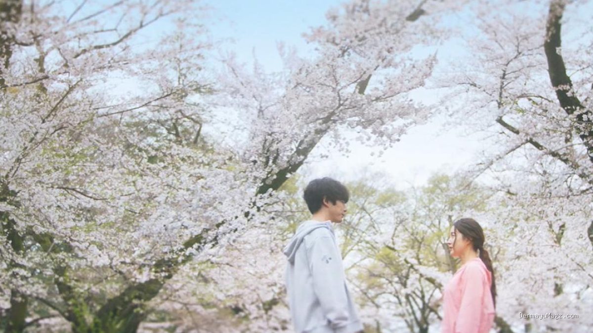 Rekomendasi Drama Korea Cinta Lama Bersemi Kembali yang Bikin Susah Move On