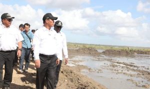 Sawah Baru Papua untuk Rakyat, Tegas Mentan Amran