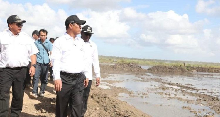 Sawah Baru Papua untuk Rakyat, Tegas Mentan Amran