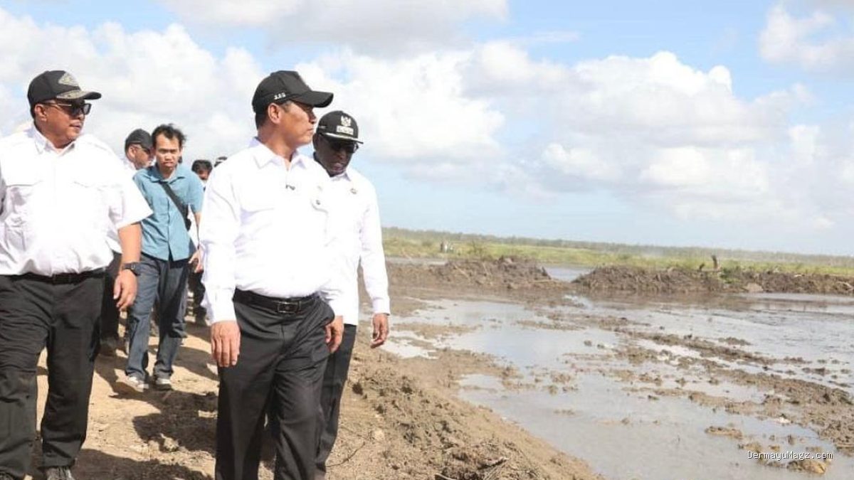 Sawah Baru Papua untuk Rakyat, Tegas Mentan Amran