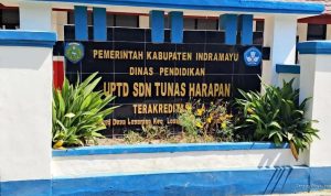 sdn-tunas-harapan-losarang-diduga-langgar-edaran-bupati-ada-apa-27776 SDN Tunas Harapan Losarang Diduga Langgar Edaran Bupati, Ada Apa?