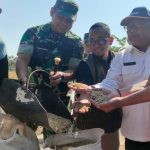 Serapan Gabah Indramayu 90% Hingga Juli: Petani Panen Raya