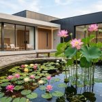 Sering Dikira Sama, Inilah Perbedaan Teratai dan Lotus yang Kerap Menghiasi Kolam