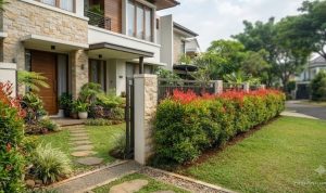 Tanaman Hias Depan Pagar yang Membuat Rumah Makin Estetik