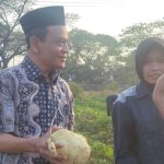 TEFA ATPH SMKN 1 Losarang Panen Ubi Jalar Varietas Unggul
