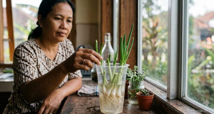 Tips Menanam Kembali Daun Bawang di Gelas Plastik Bekas, Sisa Dapur Jadi Tanaman Baru