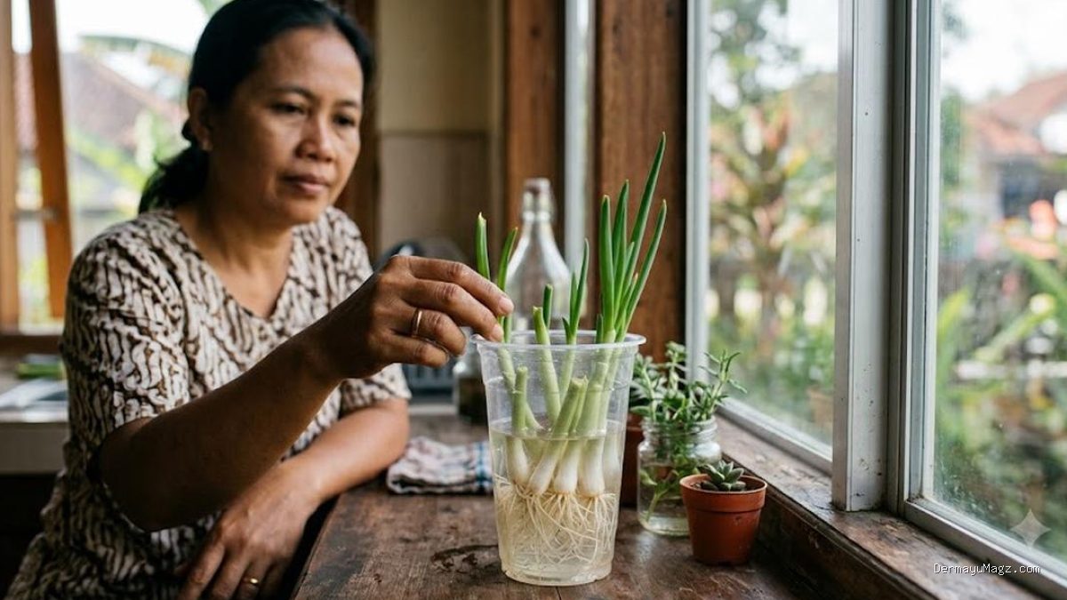 Tips Menanam Kembali Daun Bawang di Gelas Plastik Bekas, Sisa Dapur Jadi Tanaman Baru