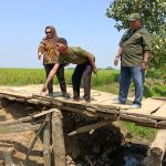 Wardah Jemput Aspirasi, Jembatan Darurat Jadi Sorotan Utama
