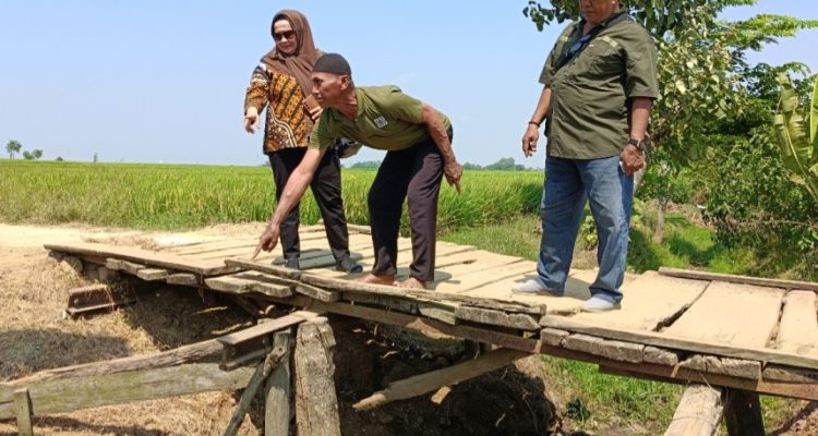 Wardah Jemput Aspirasi, Jembatan Darurat Jadi Sorotan Utama