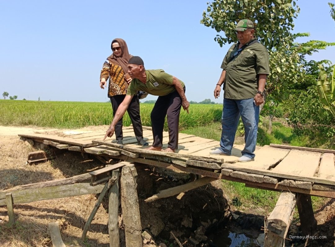 Wardah Jemput Aspirasi, Jembatan Darurat Jadi Sorotan Utama