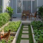 10 Cara Praktis Budidaya Pakan Ayam di Lahan Sempit, Hemat Biaya