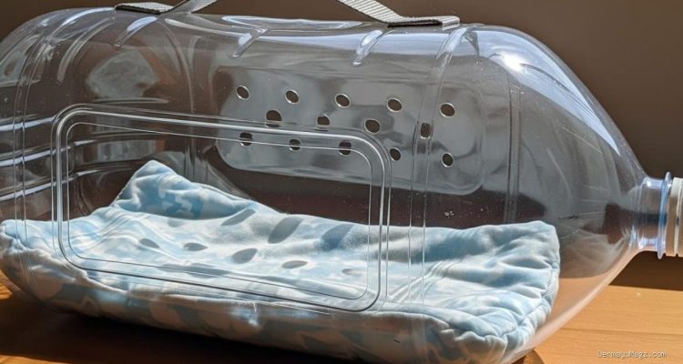 6 Cara Membuat Pet Cargo dari Galon Bekas, Kokoh dan Hemat Biaya