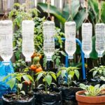 6 Cara Praktis Membuat Penyiram Tanaman Tetes dari Botol Bekas