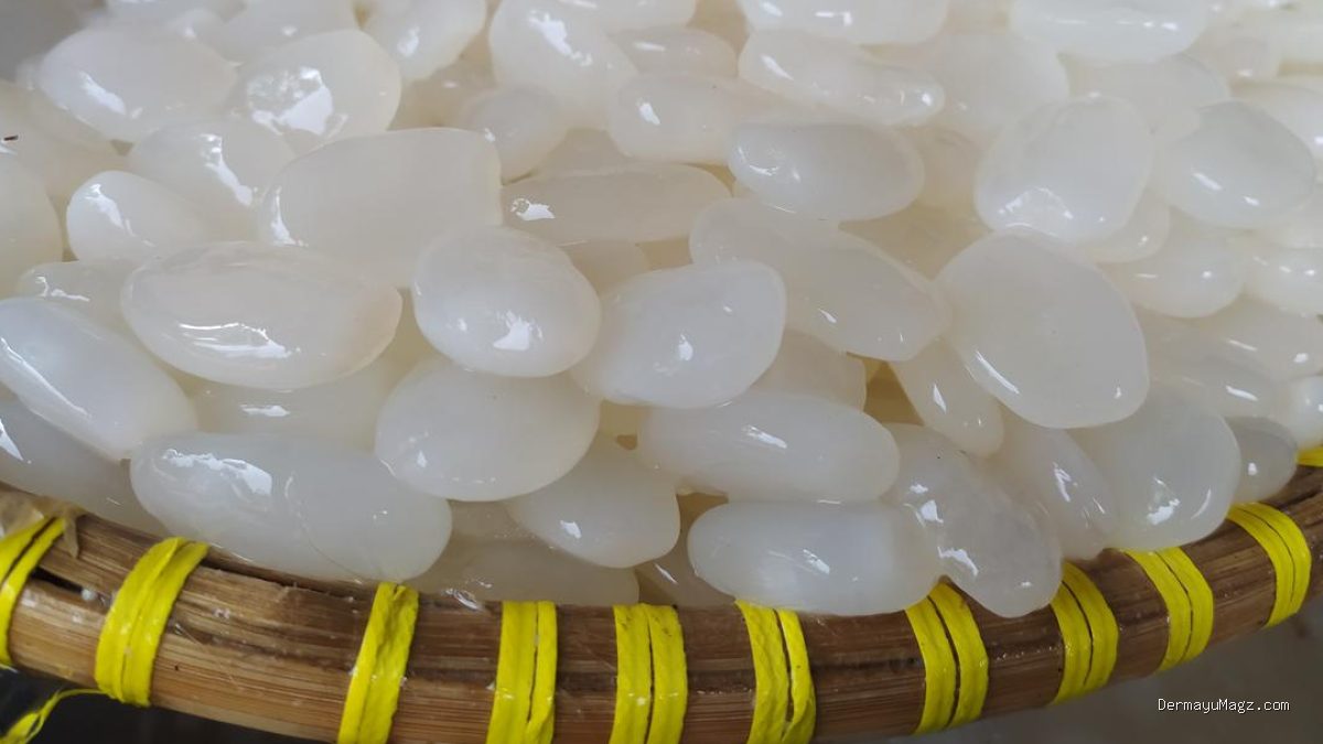 7 Cara Membuat Kolang-kaling Empuk, Tidak Berlendir, dan Warna Merata