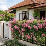 7 Ide Pagar Rumah dengan Bunga Air Mata Pengantin Estetik