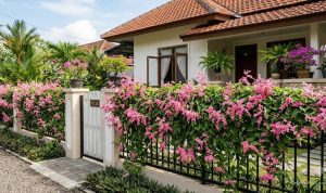 7 Ide Pagar Rumah dengan Bunga Air Mata Pengantin Estetik