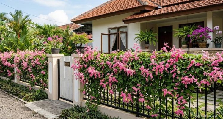 7 Ide Pagar Rumah dengan Bunga Air Mata Pengantin Estetik