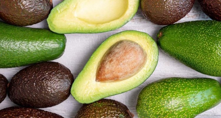 8 Ciri Alpukat Mentega Matang Sempurna, Pulen dan Anti Berserat