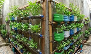 8 Ide Kebun Vertikal dari Galon & Botol Bekas di Lahan Sempit