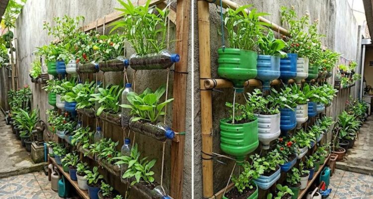 8 Ide Kebun Vertikal dari Galon & Botol Bekas di Lahan Sempit