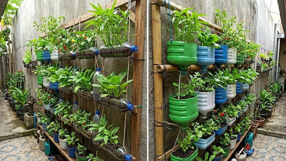 8 Ide Kebun Vertikal dari Galon & Botol Bekas di Lahan Sempit