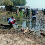 Aksi Nyata Pemkab Indramayu Peringati Hari Mangrove di Pantai Eretan