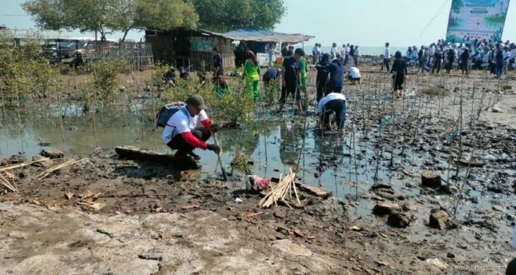 Aksi Nyata Pemkab Indramayu Peringati Hari Mangrove di Pantai Eretan