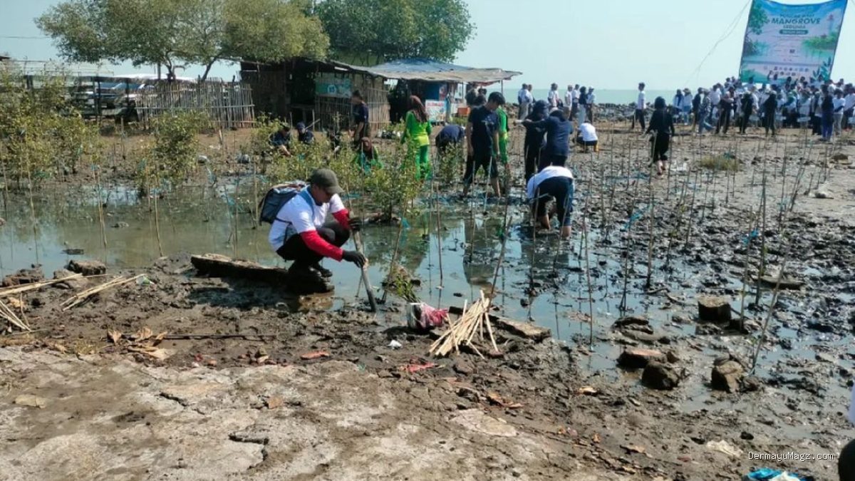 Aksi Nyata Pemkab Indramayu Peringati Hari Mangrove di Pantai Eretan
