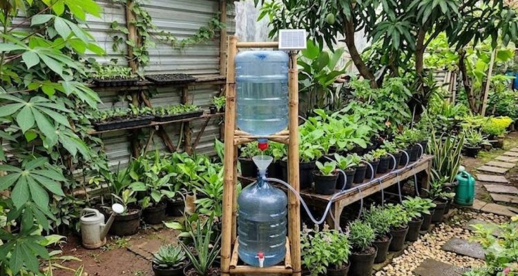 DIY Alat Penyiram Tanaman Otomatis dari Galon Bekas, Praktis!