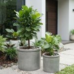 DIY Pot Semen dari Ember Bekas: Tampilan Estetik nan Hemat
