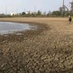 Embung Balongan Kering: 550 Hektare Sawah Indramayu Terancam Gagal Panen