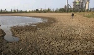 Embung Balongan Kering: 550 Hektare Sawah Indramayu Terancam Gagal Panen