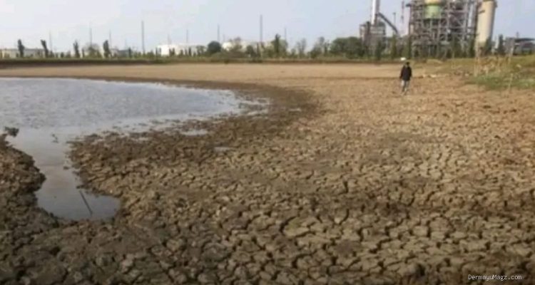 Embung Balongan Kering: 550 Hektare Sawah Indramayu Terancam Gagal Panen