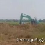 Indramayu Dugaan Galian Tanah Merah Jatimulya, Diangkut Paksa untuk Kepentingan PT di Kecamatan Losarang 9 Agustus 2026, 17:44 WIB