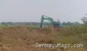 Indramayu Dugaan Galian Tanah Merah Jatimulya, Diangkut Paksa untuk Kepentingan PT di Kecamatan Losarang 9 Agustus 2026, 17:44 WIB